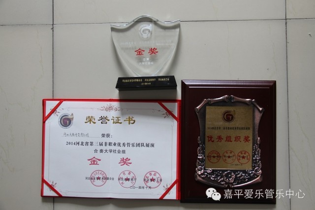 嘉平爱乐艺术活动中心助力河北管乐比赛并摘得仨金奖