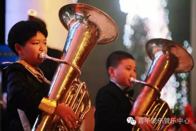 2015嘉平爱乐艺术活动中心新年音乐会