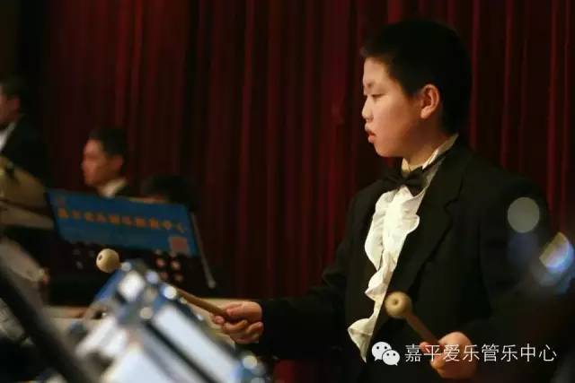 2015嘉平爱乐艺术活动中心新年音乐会